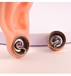 2PCS Cool Snake Hypoallergenic Stainless Steel 0g 2g Plugs Ear Gauges Tunnels Piercing Expander Stretchers Fashion Body Jewel...