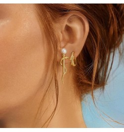 Women Snake Earrings Gold Stud Serpent 14K Gold Filled Small Simple Hypoallergenic Everyday Jewelry Wrapped Around Crutch Pea...