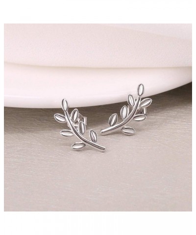 Cute Leaf Stud 925 Sterling Silver Earrings for Women Girls Hypoallergenic Small Olive Leaves Branch Cartilage Ear Climbers S...