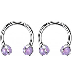 2PCs 16G G23 Titanium Circular Horseshoe Barbell Nose Ring Opals Dragon Claws Septum Rings Hoop Daith Earring Helix Lip Carti...