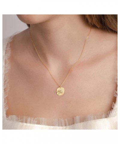 Oval Coin Pendant Necklace 12 Month Birth Flower Disc Necklace 14K Gold Plated Dainty Personalized Gift 2--Feb (Violet) $8.99...