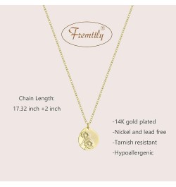 Oval Coin Pendant Necklace 12 Month Birth Flower Disc Necklace 14K Gold Plated Dainty Personalized Gift 2--Feb (Violet) $8.99...