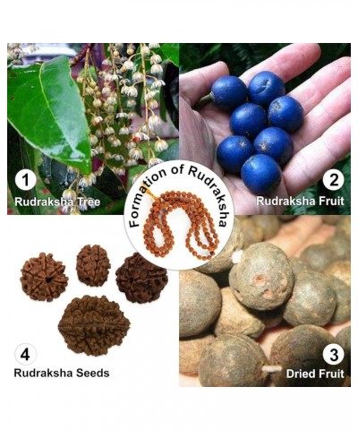 Authentic Rudraksh Mala-5face- Genuine Himalayan Rudraksha Seeds Religious Ornament Rosary Japa Mala Necklace Prayer Mala Hea...