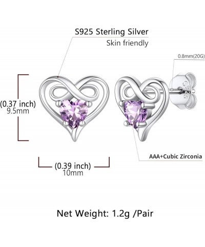 Infinity Love Heart Earrings Birthstone Stud Earrings for Women Lady 925 Sterling Silver Fashion Earrings Jewelry,Valentine's...