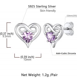 Infinity Love Heart Earrings Birthstone Stud Earrings for Women Lady 925 Sterling Silver Fashion Earrings Jewelry,Valentine's...