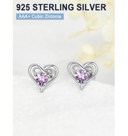 Infinity Love Heart Earrings Birthstone Stud Earrings for Women Lady 925 Sterling Silver Fashion Earrings Jewelry,Valentine's...