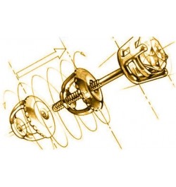 14K Yellow Gold Polished 2mm - 6mm Ball Stud Earrings With Screw Back 4 mm $24.38 Earrings