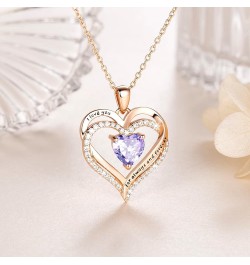 925 Sterling Silver Heart Necklace For Women, CZ Birthstone Heart Necklaces for Women Silver Jewelry for Women 18k Rose Gold ...