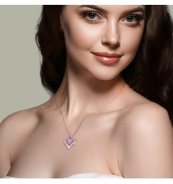 925 Sterling Silver Heart Necklace For Women, CZ Birthstone Heart Necklaces for Women Silver Jewelry for Women 18k Rose Gold ...