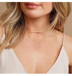 Astrology Necklace for Women 18K Gold Plated 12 Constellation Zodiac Necklace Aries $10.25 Necklaces