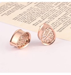 2 PCS 6mm-25mm Fashion 316 Stainless Steel Beautiful Ear Plugs Tunnels Gauges Stretcher Piercing Body Jewelry 22mm(7/8") Rose...