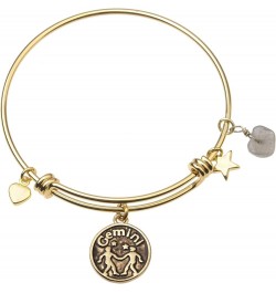 Zodiac Bracelet for Women Gold Plated Retro Constellation Sign Expandable Bangle Bracelet Round Disc Astrology Bracelet Gemst...