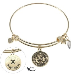 Zodiac Bracelet for Women Gold Plated Retro Constellation Sign Expandable Bangle Bracelet Round Disc Astrology Bracelet Gemst...