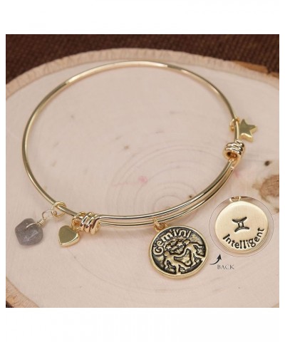 Zodiac Bracelet for Women Gold Plated Retro Constellation Sign Expandable Bangle Bracelet Round Disc Astrology Bracelet Gemst...