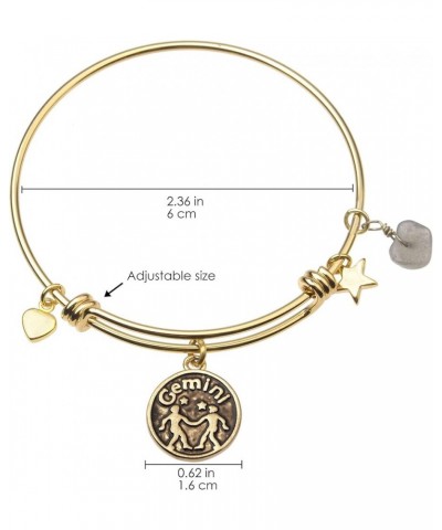 Zodiac Bracelet for Women Gold Plated Retro Constellation Sign Expandable Bangle Bracelet Round Disc Astrology Bracelet Gemst...