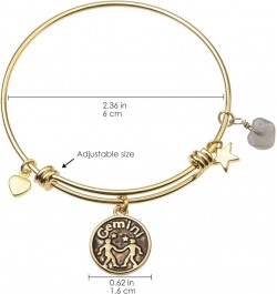 Zodiac Bracelet for Women Gold Plated Retro Constellation Sign Expandable Bangle Bracelet Round Disc Astrology Bracelet Gemst...