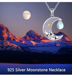 Celtic Fox Pendant Necklace/Urn Necklace for Ashes Vintage Animal Moonstone Fox Jewelry For Women Gift Mountain $16.80 Necklaces