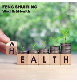 Feng Shui Pixiu Mantra Amulet Lucky Adjustable Ring Buddhist Good Luck Mantra Double Protection Wealth Love Health Ring Vinta...