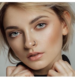 Stainless Steel faux nose rings Fake Nose Rings 18G Non Piercing Clip-on Fake Faux Septum Hypoallergenic Fake Cartilage Earri...