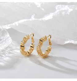 14K Gold Plated Hoop Earrings for Women, Trendy Big Chunky Gold Hoop Earrings Lightweight Hypoallergenic Jewelry for Teen Gir...