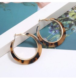 Acrylic Hoop Leopard Earrings Tortoise Resin Colorful Earrings Bohemia Statement Dangle Earring Studs for Women Girls Light B...