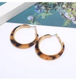 Acrylic Hoop Leopard Earrings Tortoise Resin Colorful Earrings Bohemia Statement Dangle Earring Studs for Women Girls Light B...