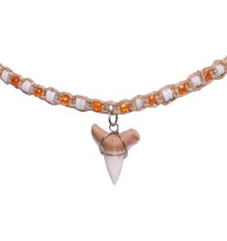 Shark Tooth on Hemp Choker Necklace with Puka Shell Beads (3L) Orange $13.08 Necklaces