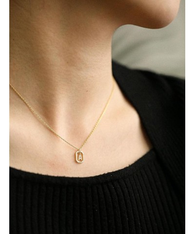 Dainty Gold Initial Necklaces for Women Girl, 14K Gold Plated CZ Cubic Zirconia Elegant Letter Pendant Necklace Tiny Gold Nam...