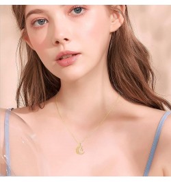 14K Real Gold Necklace Pendant Necklace Jewelry Christmas Gifts for Women Hiking Travel Enthusiasts C-Celtic Knot-Moon Star $...