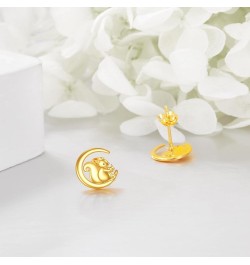 14k Gold Animal Earrings Solid Gold Moon Stud Earrings for Women Girls 14K Real Gold Jewelry Gifts for Her squirrel $64.38 Ea...