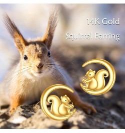 14k Gold Animal Earrings Solid Gold Moon Stud Earrings for Women Girls 14K Real Gold Jewelry Gifts for Her squirrel $64.38 Ea...