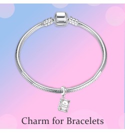 S925 Silver Charm for Bracelet Necklace Sterling Silver Dangles Our Magical Vacation for Women $10.63 Bracelets