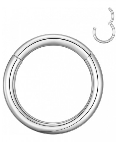 4G 6G 8G 10G 12G Clicker Rings 316L Surgical Steel Hinged Segment Hoop for Septum and Cartilage Earlobe Piercings, Diameter 1...