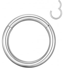 4G 6G 8G 10G 12G Clicker Rings 316L Surgical Steel Hinged Segment Hoop for Septum and Cartilage Earlobe Piercings, Diameter 1...