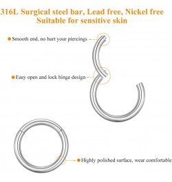 4G 6G 8G 10G 12G Clicker Rings 316L Surgical Steel Hinged Segment Hoop for Septum and Cartilage Earlobe Piercings, Diameter 1...