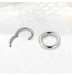 4G 6G 8G 10G 12G Clicker Rings 316L Surgical Steel Hinged Segment Hoop for Septum and Cartilage Earlobe Piercings, Diameter 1...