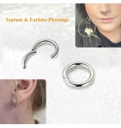 4G 6G 8G 10G 12G Clicker Rings 316L Surgical Steel Hinged Segment Hoop for Septum and Cartilage Earlobe Piercings, Diameter 1...