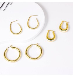 Gold Hoop Earrings for Women Trendy, 18K Gold Vermeil/14K Gold Plated Over 925 Sterling Silver Hypoallergenic Post Earrings N...