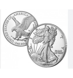 1 oz American Silver Eagle Dollar Coin Bezel Pendant Sterling Silver Coin Edge 1986-2023 40.6mm x 3.05mm $18.48 Pendants