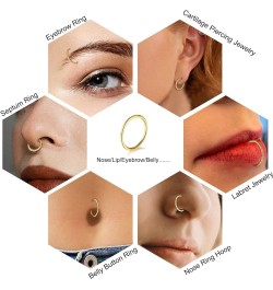 14G 16G 18G 20G Nose Ring Hoop Stainless Steel Hinged Segment Ring Hoop Nose Clicker Ring Tragus Helix Cartilage Daith Rook E...