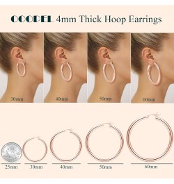 4mm Thick Gold Chunky Earrings Steling Silver Post Hoops Earrings For Women Hollow Tube Hoops Earrings Thick Gold Hoop Earrin...