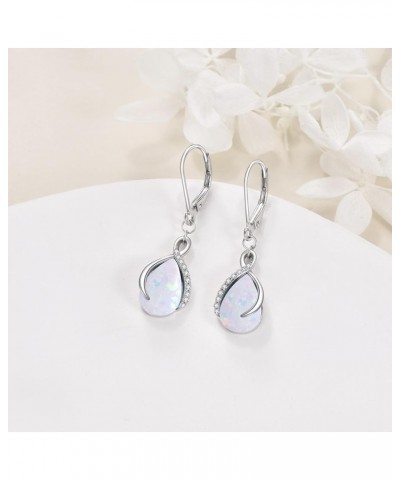 Teardrop Filigree Abalone Moonstone Leverback Earrings for Women Sterling Silver Infinity Larimar Earrings Dangle Gifts Infin...