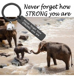 Elephant Keychain Never Forget How Strong You Are Strength Jewelry Uplifting Gift For Friend Family Animal Lovers Never Forge...