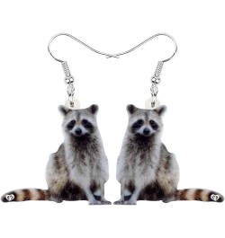 Acrylic Raccoon Ringtail Earrings Drop Dangle Sweet Wild Animal Jewelry For Women Girl Charms Grey,White $6.23 Earrings