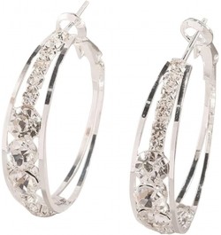 Exquisite Diamond Hoop Earrings for Womens Natural Shiny Rhinestone Earrings Dainty Inlaid Zirconia Circle Ear Drop D $3.63 E...