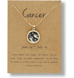 Zodiac Coin Embossed Necklace Graduation Gifts for Her Disc 12 Constellation Astrology Horoscope 14K Gold Plated Crystal Roun...