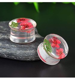 2 Pairs Gauges Piercing Saddle Plugs, Double Flared Flesh Ear Tunnels, Acrylic Flower Logo Earrings Elegant Stretchers. Y682 ...