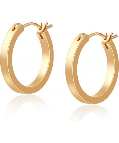 Gold Plated Hoop Earrings, Silver/Gold Lightweight Hypoallergenic Hoops Earrings for Women, Size: 32mm 21mm-gold hoop $10.61 ...