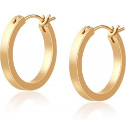 Gold Plated Hoop Earrings, Silver/Gold Lightweight Hypoallergenic Hoops Earrings for Women, Size: 32mm 21mm-gold hoop $10.61 ...