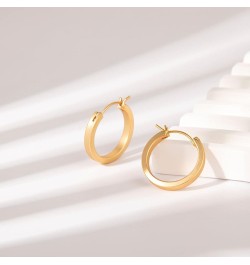 Gold Plated Hoop Earrings, Silver/Gold Lightweight Hypoallergenic Hoops Earrings for Women, Size: 32mm 21mm-gold hoop $10.61 ...